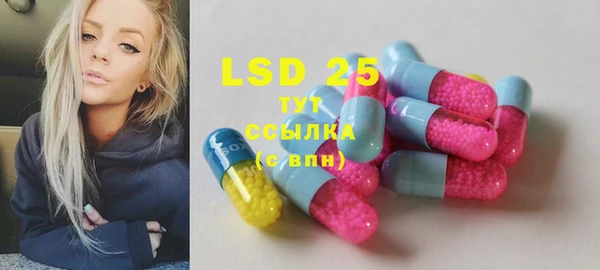 винт Богданович