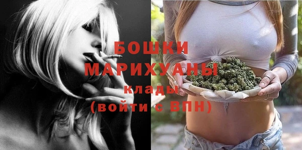 винт Богданович