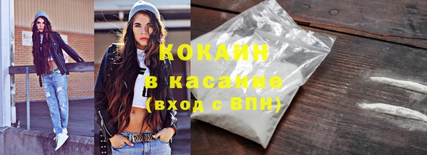 винт Богданович