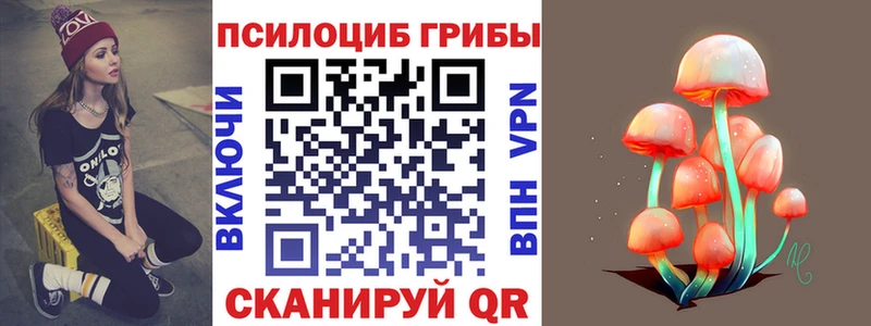 наркота  Ясногорск  Галлюциногенные грибы Cubensis 